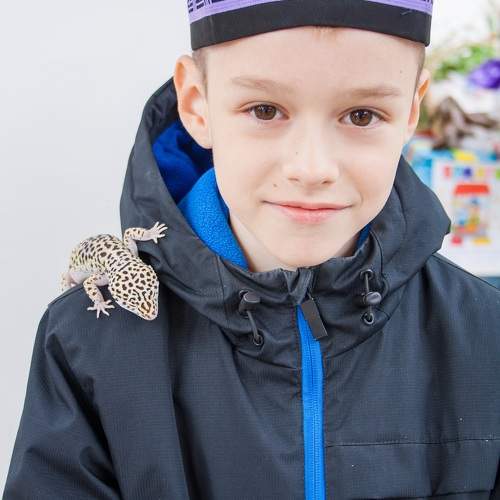 Photo #11331275