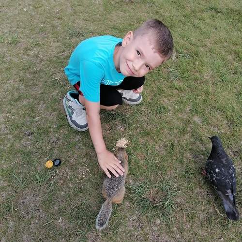 Photo #11331314