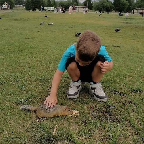 Photo #11331334