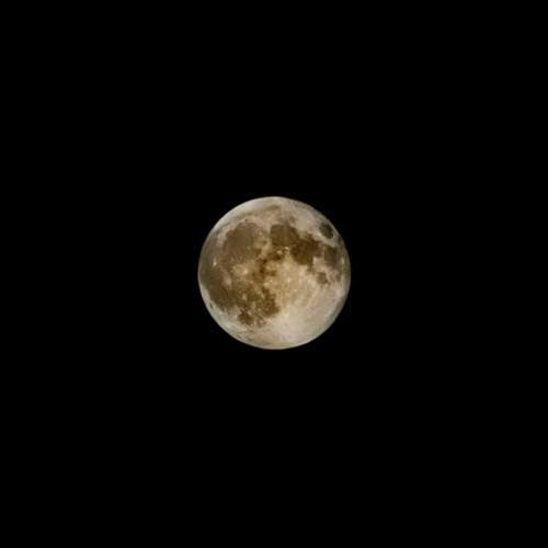 Photo #11331432