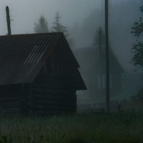 Photo #11331460