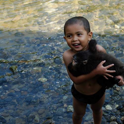 Photo #11331835
