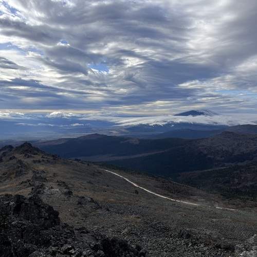 Photo #11332006