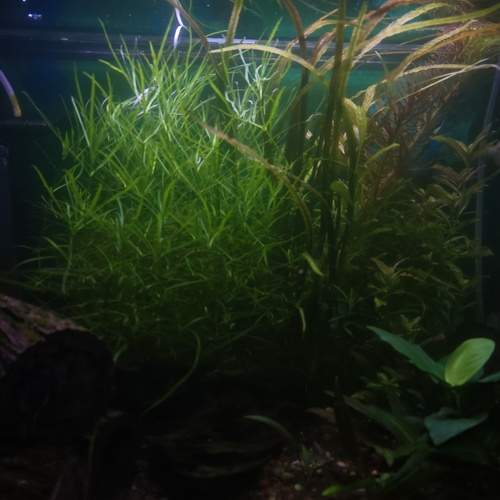 Photo #11332060