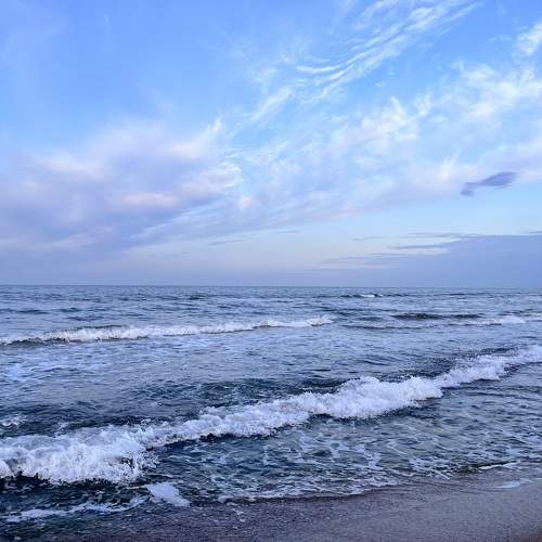 Photo #11332079