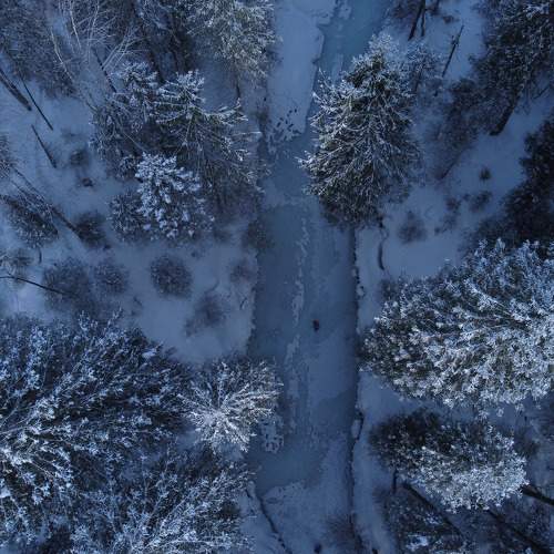 Photo #11332083