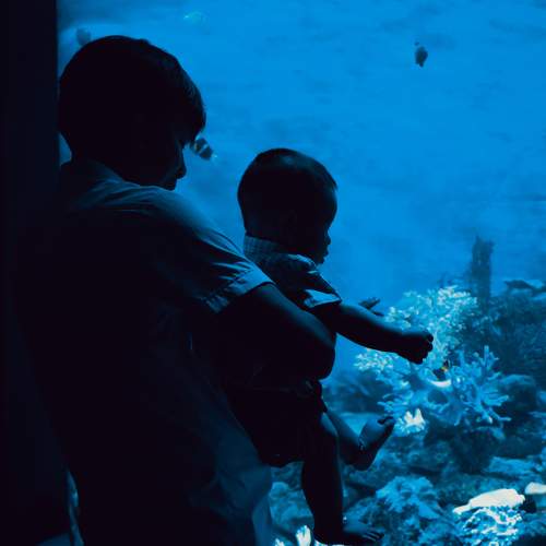 Photo #11332245