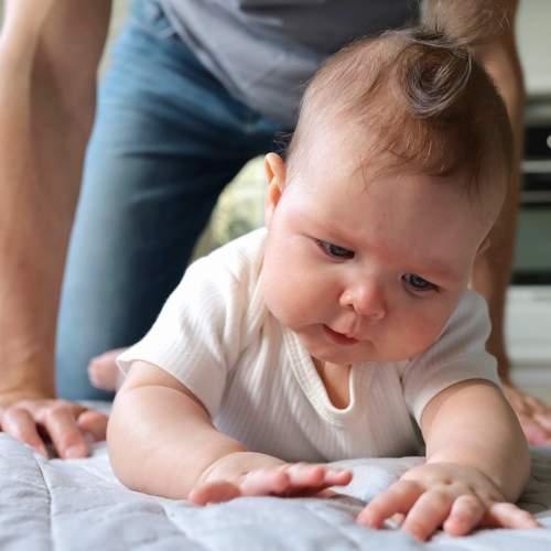 Photo #11332657