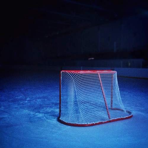 Photo #11332737