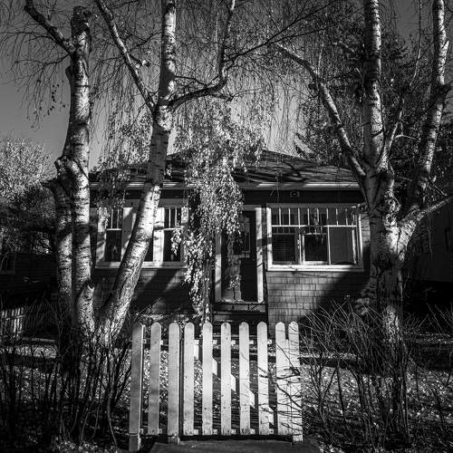 Фотография #11332985