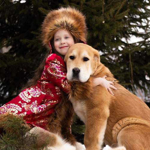 Photo #11332986