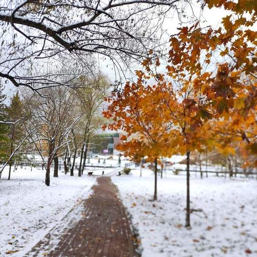 Photo #11333005