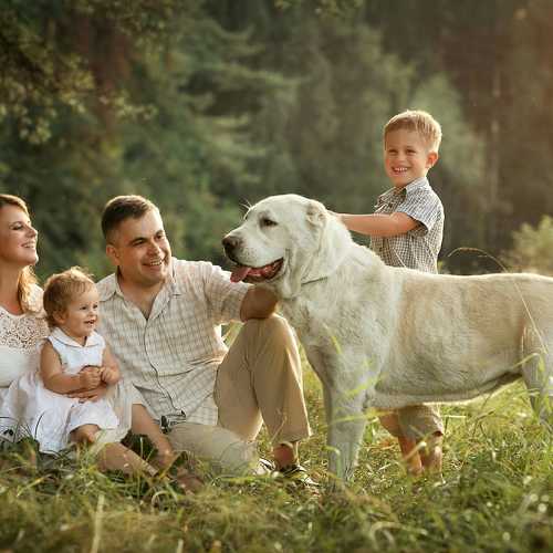 Photo #11333085