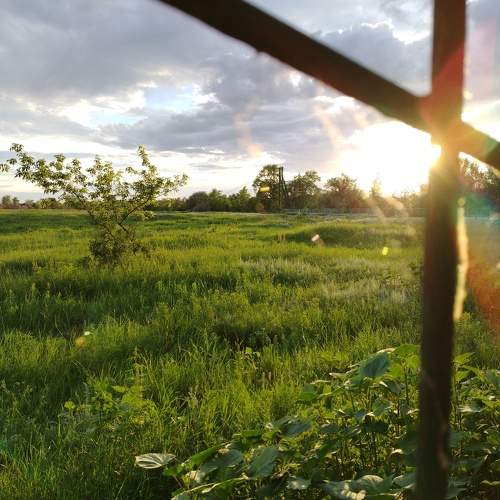 Photo #11333090