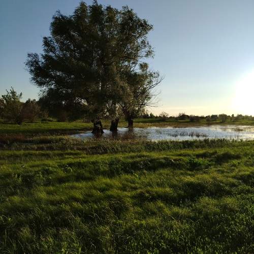 Photo #11333092