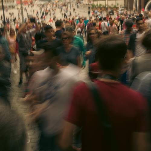 Photo #11333319