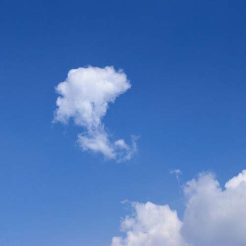 Photo #11333594