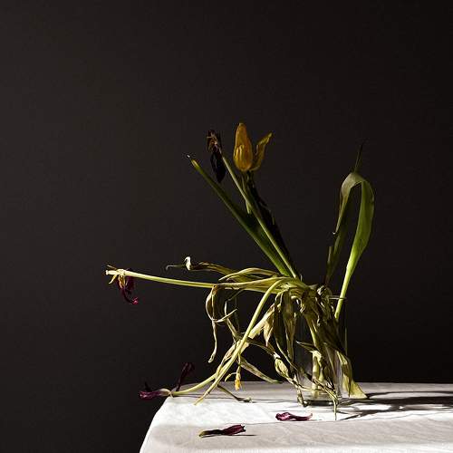 Photo #11333645