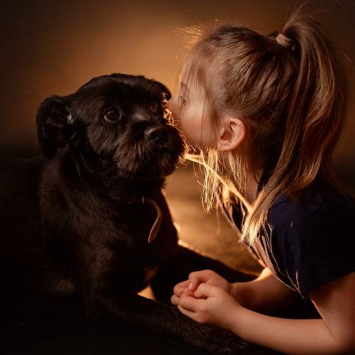 Photo #11334331