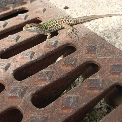 Photo #11334341