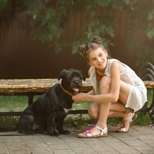Photo #11334352