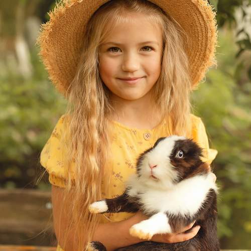 Photo #11334490