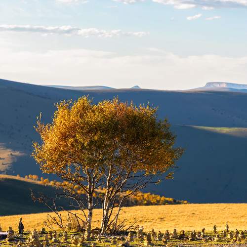 Photo #11334543