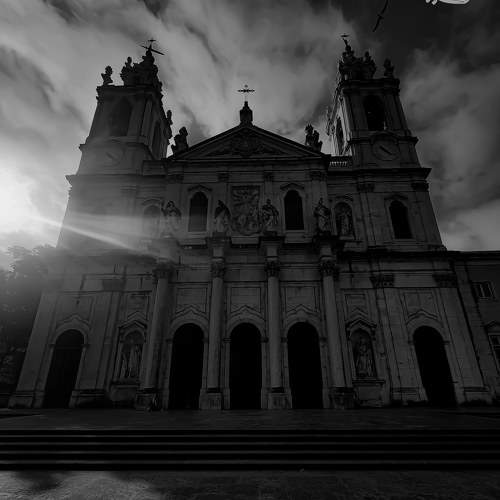 Photo #11334558