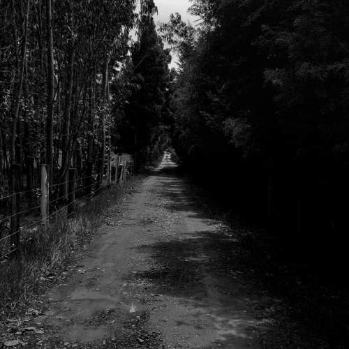 Photo #11334583