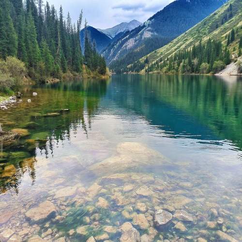 Photo #11334852