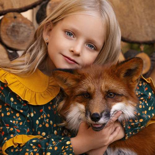 Photo #11335041