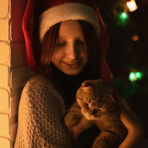Photo #11335112