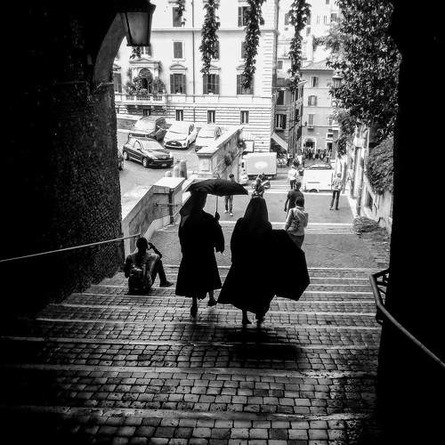 Photo #11335126