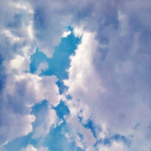 Photo #11335339