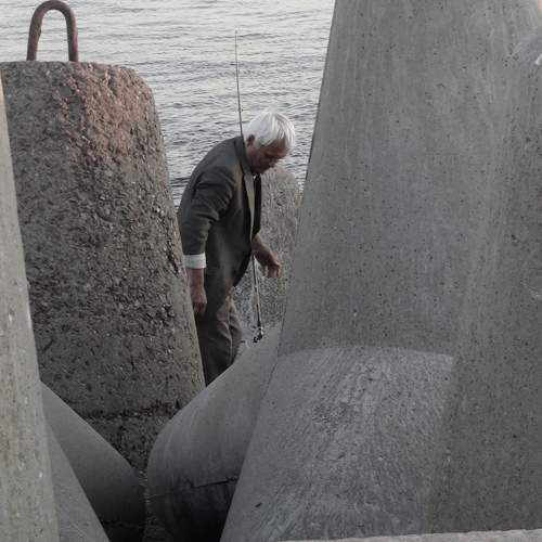 Photo #11335344