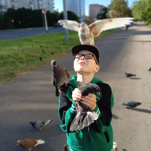 Photo #11335676