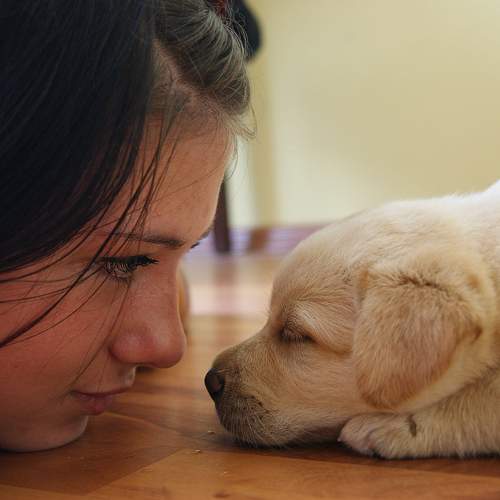 Фотография #11336153