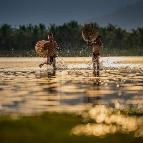 Photo #11336159