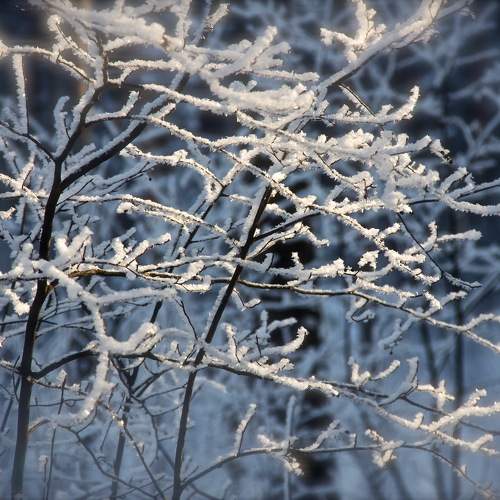 Photo #11336176