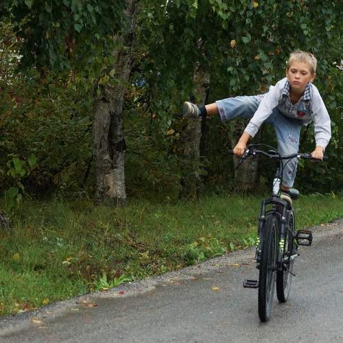 Photo #11337045