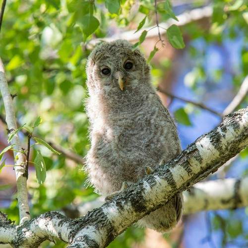 Photo #11337181