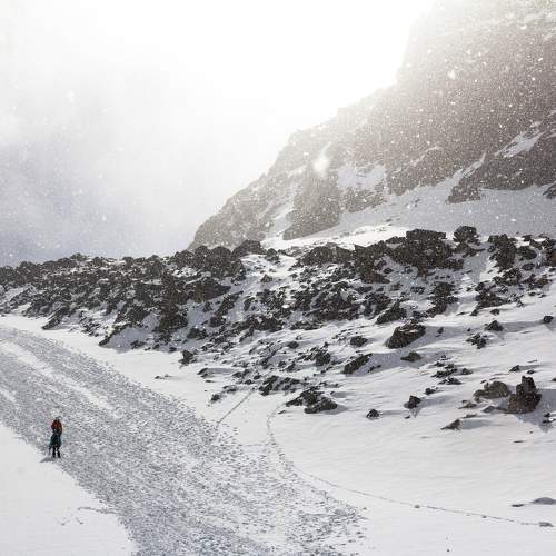 Photo #11337588