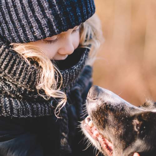 Photo #11337824