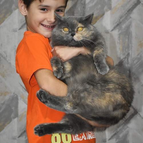 Photo #11337875