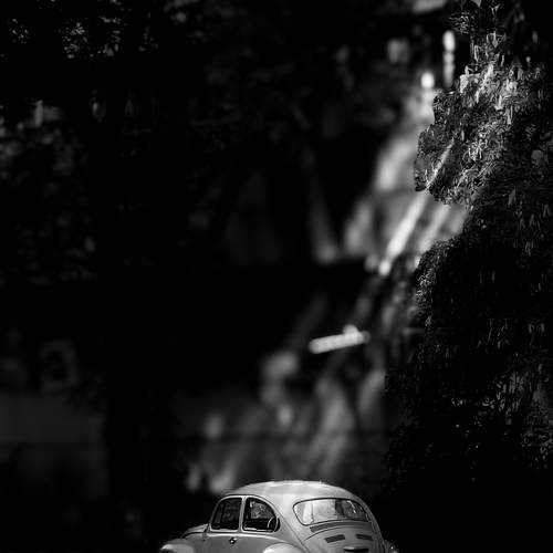 Photo #11337942