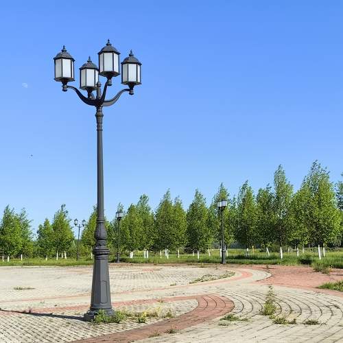 Photo #11338008