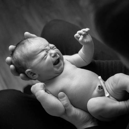 Фотография #11338054