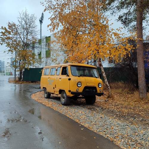 Photo #11338506