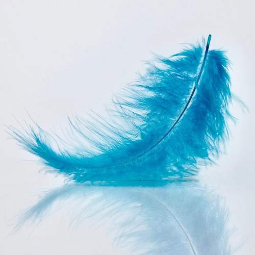 Фотография #11338507