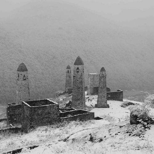 Photo #11338567